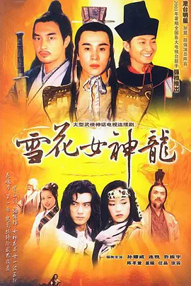 雪花女神龙 (2002)百度网盘资源-电视剧全45集