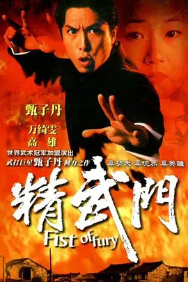 精武门 精武門 (1995)百度网盘资源-电视剧全30集