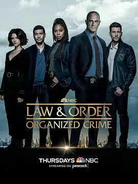 法律与秩序：组织犯罪第三季（2022）百度网盘资源-美剧更新中