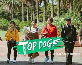 TOP DOG（2023）百度网盘资源-综艺更新中